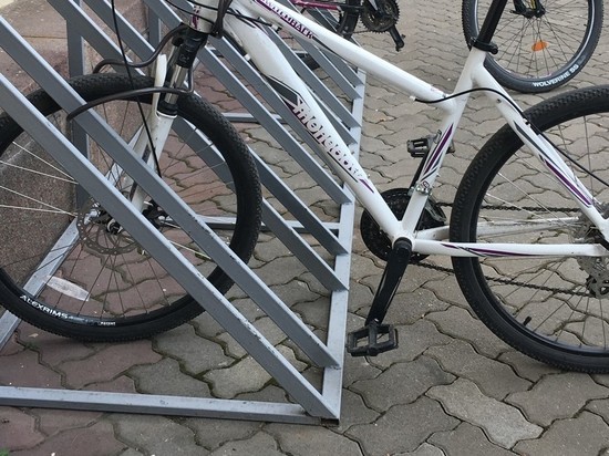 Смоленская полиция раскрыла дело об угнанном велосипеде в Пригорском