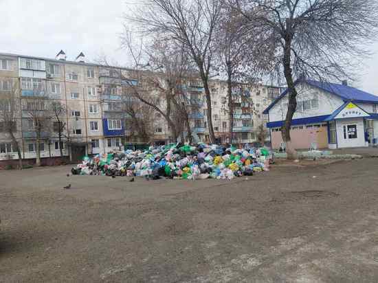 Администрация Оренбурга объяснила, кто отвечает за чистоту городских дворов