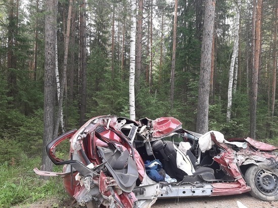 На Урале будут судить водителя, обвиняемого в смерти двух человек