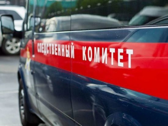 Башкирские следователи выяснят, почему в крови сбитого машиной мальчика обнаружили алкоголь