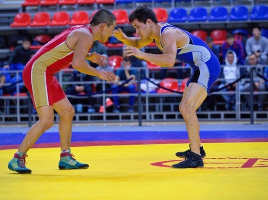 В Хакасии проведут чемпионат по вольной борьбе
