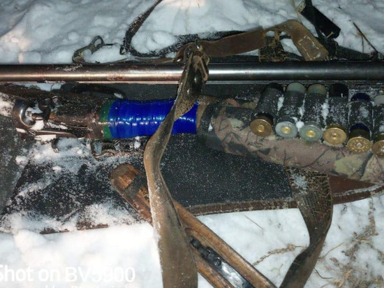 Общественники задержали браконьера с тушей косули в охотугодии Солонешенского района