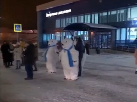 Белые медведи сплясали в кемеровском аэропорту
