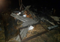 В посёлке Кузрека Терского района Мурманской области в ночь с 23 на 24 ноября 2020 года произошло возгорание в доме