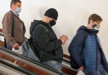 Волгоградский областной суд отказал в удовлетворении иска местного жителя Станислава Терентьева, который требовал признать незаконным решение губернатора о введении масочного режима