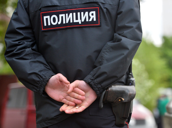 В Ярославле поймали очередного грабителя