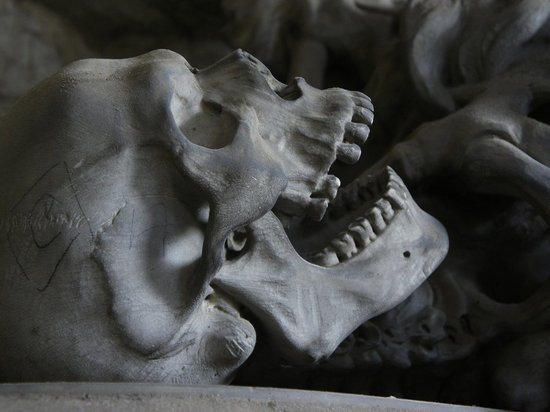 В Раменском морге нашли мешок с костями, потерянными несколько лет назад