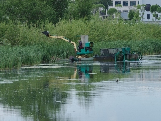 В Ярославской области почистят реку Сить
