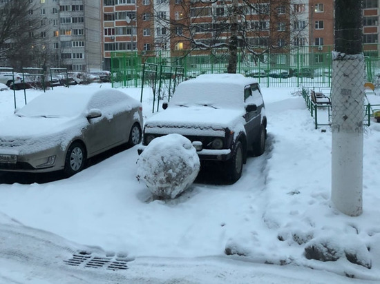 Жители Подольска проучили соседей баррикадой из снеговика