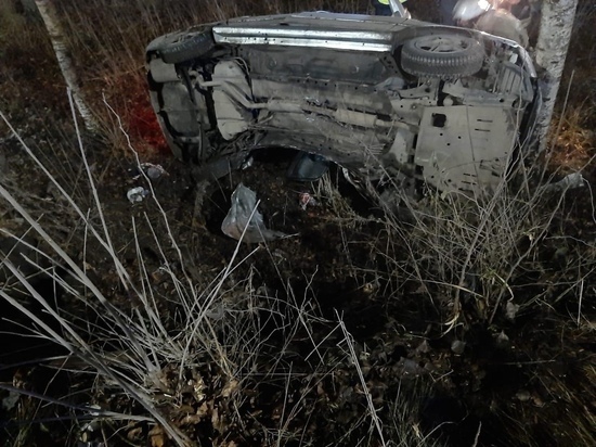 Молодой водитель врезался в дерево и погиб в Твери