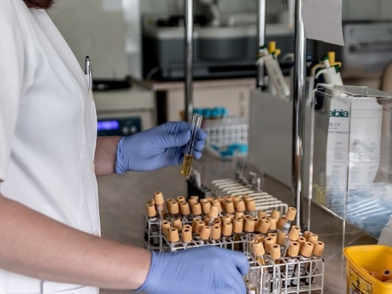 В ДНР за сутки провели более 450 исследований на коронавирус