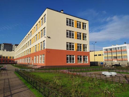 Более 110 классов перевели в Петербурге на удаленное обучение