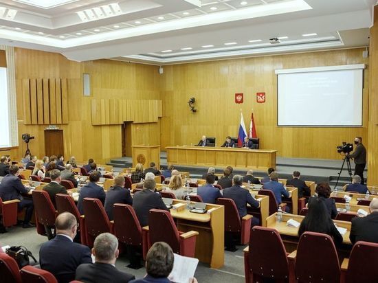 Депутаты Воронежской областной Думы приняли блок социальных законов