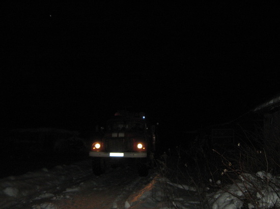 Ночью в Ивановской области сгорел скотный двор и 10 голов живности