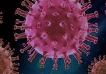 Гигантское по своим масштабам исследование более 12000 мутаций нового коронавируса показало ученым, что ни одна из них не повлияла на то, насколько легко COVID-19 заражает людей