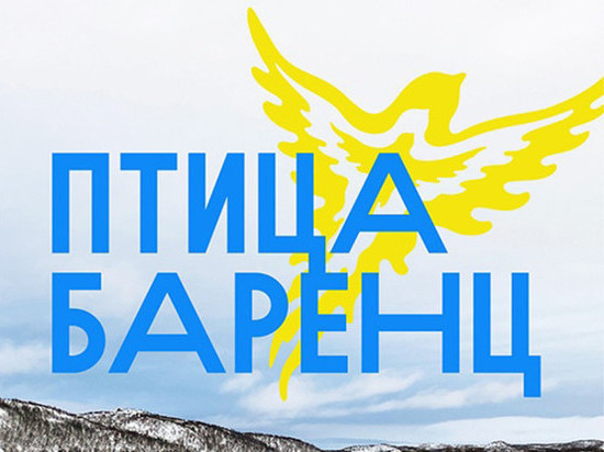 В Заполярье с 27 по 29 ноября будут проходить фестивальные дни «Barents Bird Weekend»
