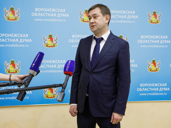 Жители Воронежской области смогут получить по социальным контрактам до 250 тысяч рублей