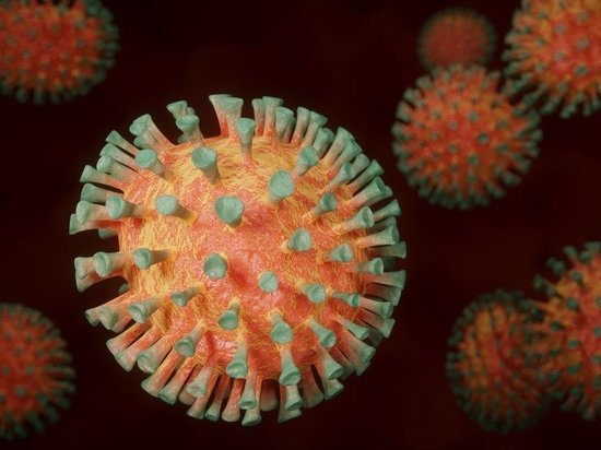 Психолог рассказала о пользе сжигания чучела коронавируса перед Новым годом