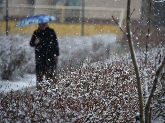 Синоптики прогнозируют похолодание в Тамбовской области на следующей неделе