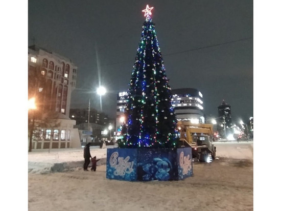 В Гагаринском парке установили новогоднюю ёлку
