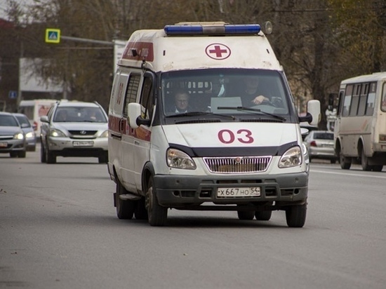 Еще 179 случаев COVID-19 выявили за прошедшие сутки в Новосибирской области