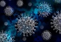 В Забайкалье за последние сутки выявлено 270 новых случаев заражения коронавирусной инфекцией