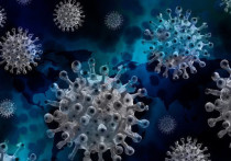 Оригинальную версию происхождения коронавируса нового типа выдвинули китайские ученые, утверждающие, что вызывающий COVID-19 вирус возник в Индии летом 2019 года на фоне сильной жары, «заставившей людей и животных пить одну и ту же воду»