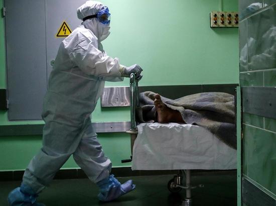 Еще 23 человека стали жертвами коронавируса на Дону