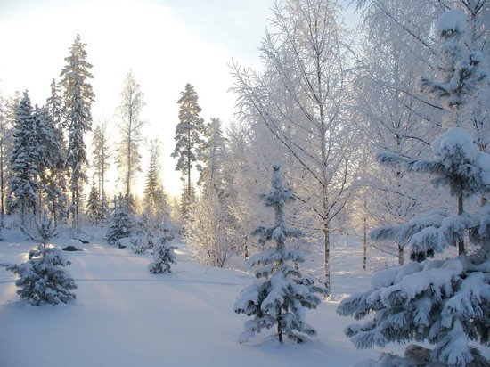 Кировчан на предстоящей рабочей неделе ожидают снегопад и солнце