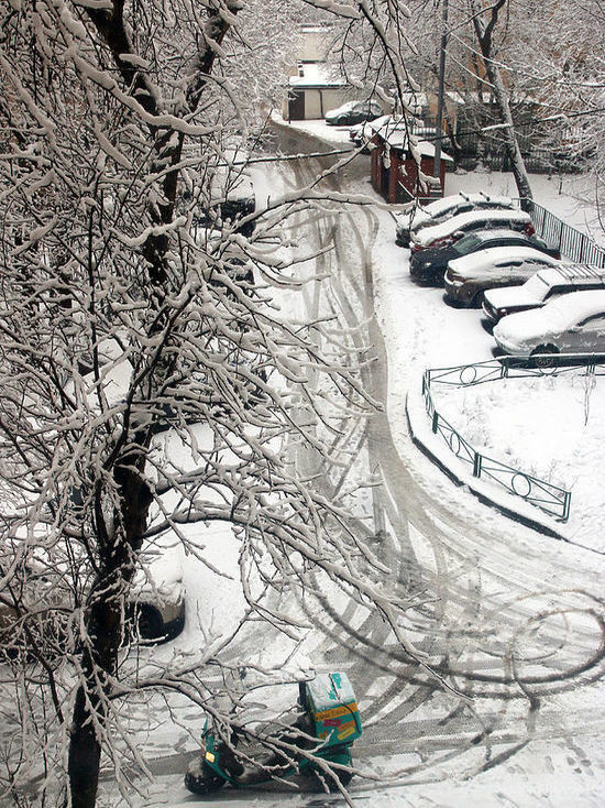 Синоптики пообещали москвичам настоящую зиму с 1 декабря