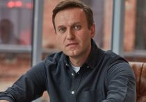Более 50 стран-членов Организации по запрещению химического оружия (ОЗХО) выступили с совместным заявлением по ситуации с оппозиционным политиком Алексеем Навальным
