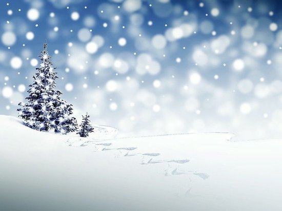 Снега в Пскове в декабре будет мало