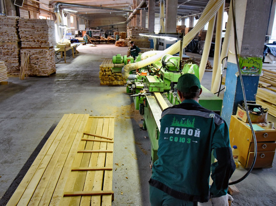 В Калужской области создадут завод мебельного щита за 100 млн рублей