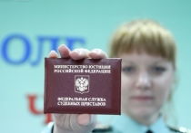 Новосибирская областная прокуратура расследовала необычное дело о хищении; невольными пособниками преступников должны были стать судебные приставы. 