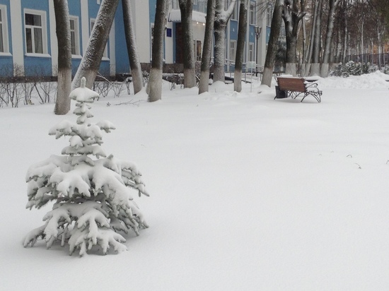 В Смоленске первый день зимы намекает на ее приход