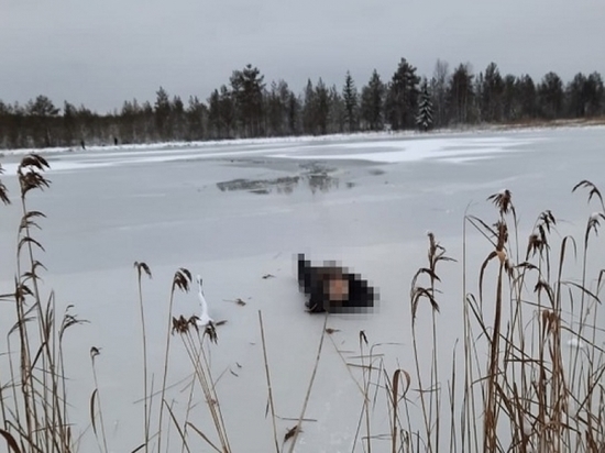 В Каргопольском районе погиб лыжник, провалившись под лёд