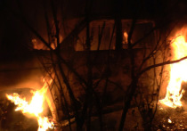 В Нерчинском районе мужчина получил ожог кистей рук II степени, пытаясь потушить свой загоревшийся УАЗ