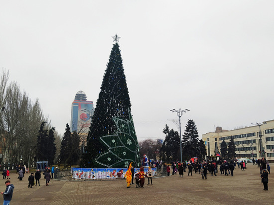 В Донецке приступили к сбору главной елки
