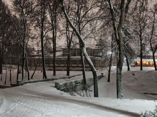 Погода в Рязанской области 2 декабря