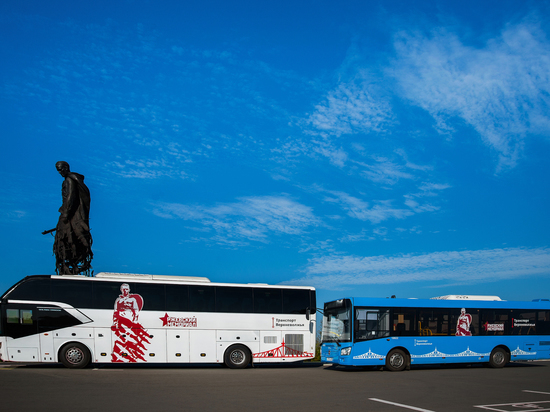Больше трех тысяч пассажиров проехали по Ржевского мемориала новым автобусным маршрутом