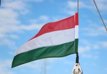 Украинско-венгерские отношения, и без того непростые, вступили в новую полосу тяжких испытаний