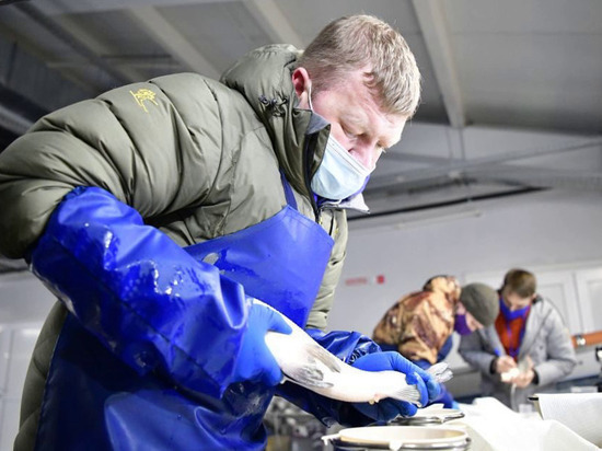 На Ямале Собский рыбозавод впервые получил икру от маточного стада муксуна