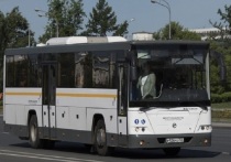 Теперь автобус будет останавливаться в деревнях Ивантиново и Игнатьево