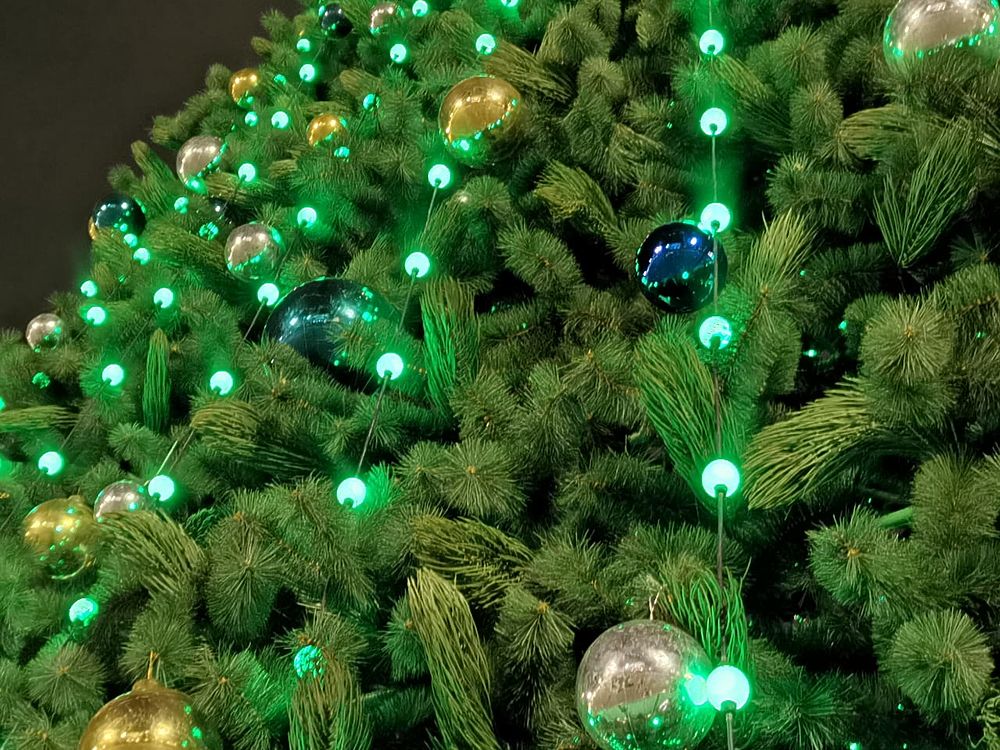 В Туле главная новогодняя елка готова к празднику 