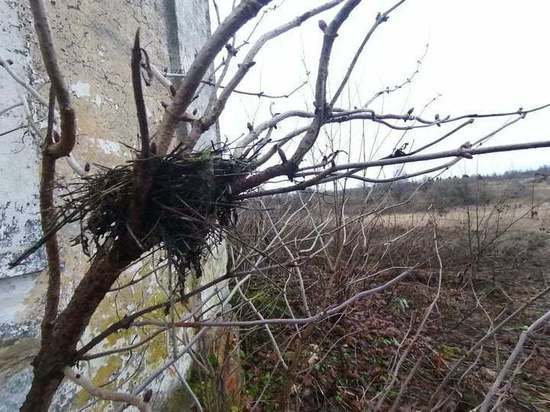 В среду, 2 декабря, в Смоленской области будет легкий минус и без осадков