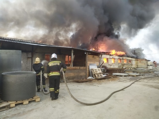 Сотрудники МЧС России ликвидировали крупный пожар на производстве в Сновицах
