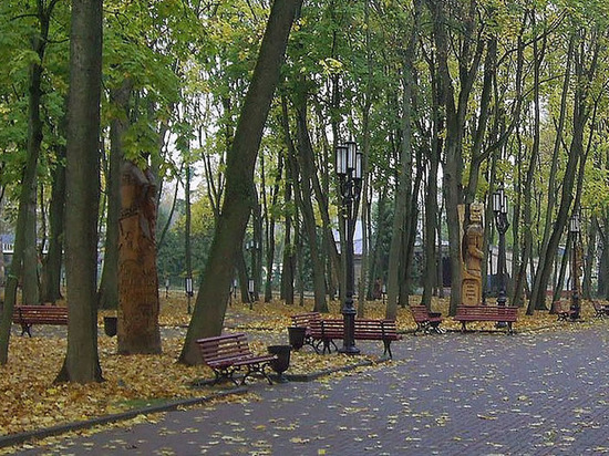 В Брянске новым руководителем объединения парков стал Сергей Сенин