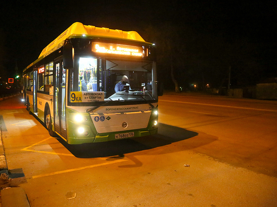 В Воронеже на линию вышли новые автобусы большого класса