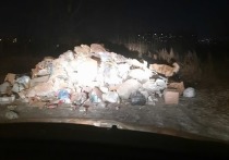 В Чите вечером 1 декабря мусоровоз компании «Олерон+» вывалил мусор на дороге за рекой Ингода