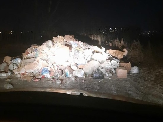 Мусоровоз вывалил мусор за Ингодой в Чите из-за загоревшихся отходов
